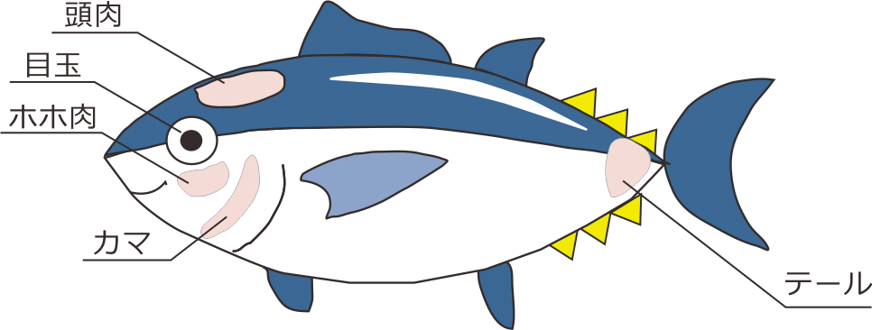 まぐろ部位